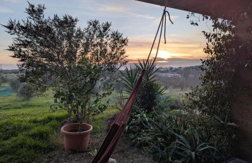 Gaia - Mare, Lago di Bolsena e Terme di Vulci - Foto 32