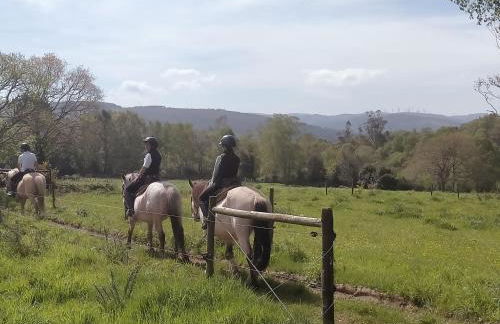 Granja Labrada: Alojamiento con caballos - Foto 57