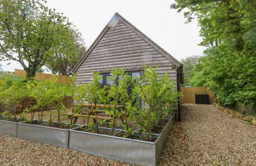 Roman Lodge - Photo 25