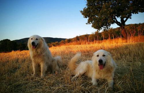 Agriturismo Paugnano - Foto 6