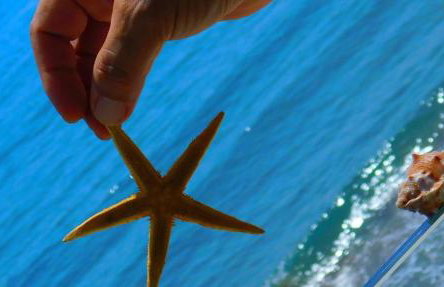 AKTIS MAKRIGIALOS LUXURY APTS - Foto 24