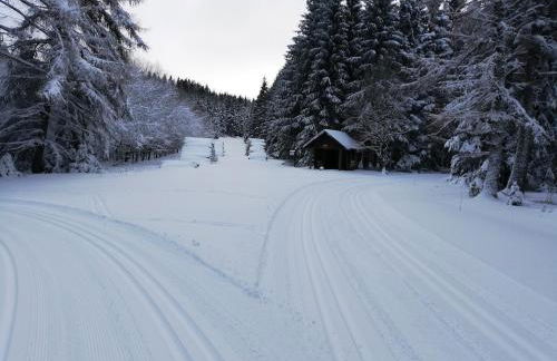 FeWo 12 45qm bis 3 Pers nahe Winterberg - Foto 19
