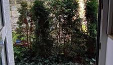 Appartements an der Kaiserpfalz - Krottental - Foto 4, Garden, Garden view