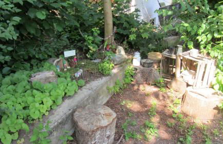 Familiennest Vogelwuid - Photo 29