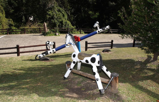 Gooderson Knysna Chalets - Foto 11