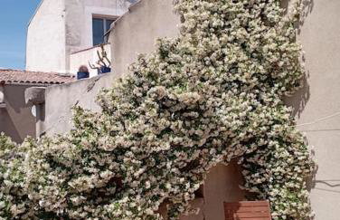 Duplex La Terrasse Jasmin - Photo 14