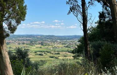 Villa Monteleone - Foto 6