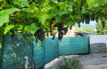 Ahr-Weinbergblick - Foto 80