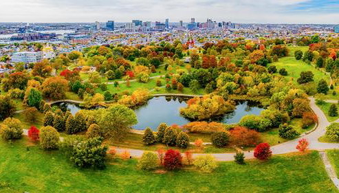 Baltimore Classic - Entire House By Fells Point, Inner Harbor, Johns Hopkins - Foto 4, Garden