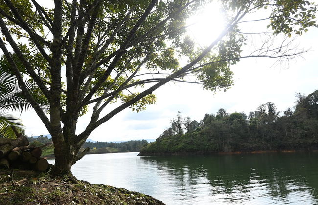 La trinidad - Foto 40