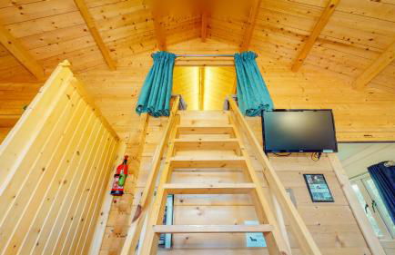 Seiriol at Llanfair Hall - Foto 16