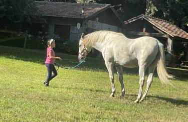 Quinta de Maderne - Foto 74