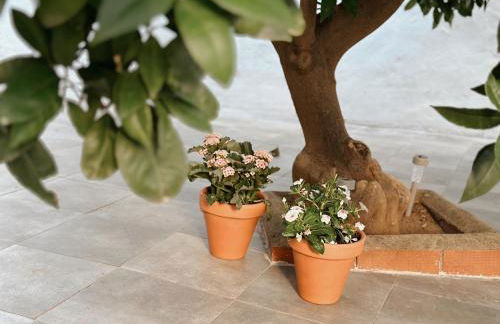 Casa Rural Puebla Deluxe l Privacidad e intimidad - Foto 56