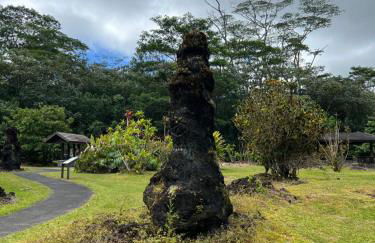 Comfort Nest - Foto 54