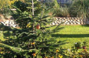 Ferienwohnung Wattlöwe - Photo 12