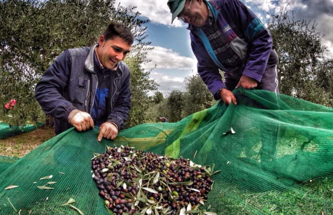 Fattoria Santa Vittoria Apartment Gazza - Foto 10