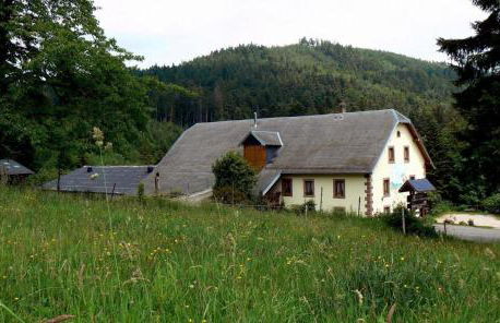 Les Pruniers - Orbey - Foto 6