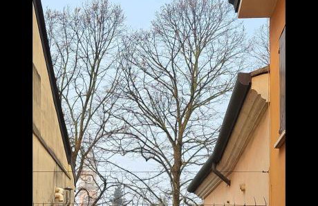 Bilocale Di Lusso Centro Storico zona Verdi - Foto 21
