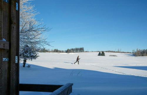 Log Cabin With Sauna In The Upper Harz Mountains - Foto 35