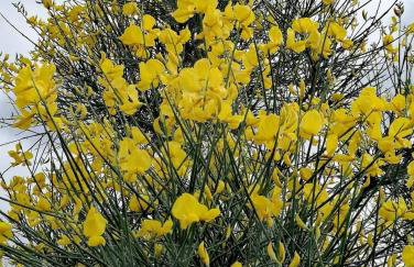 Holiday House near Split with heated pool - Photo 25