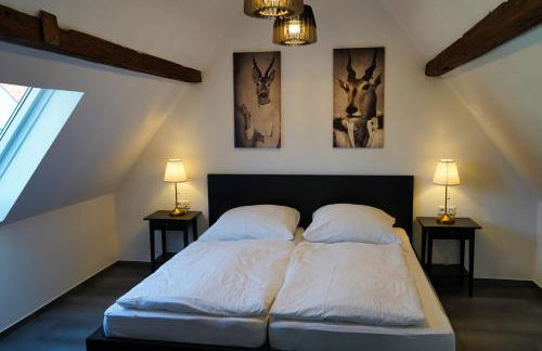 Ferienwohnungen am Geiseltalsee - Foto 10