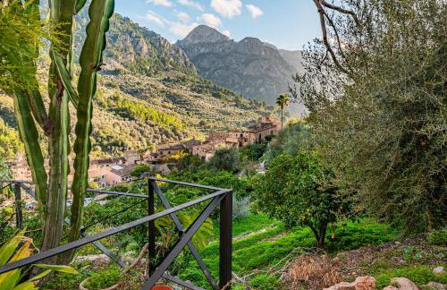 Se Teulere - Foto 23