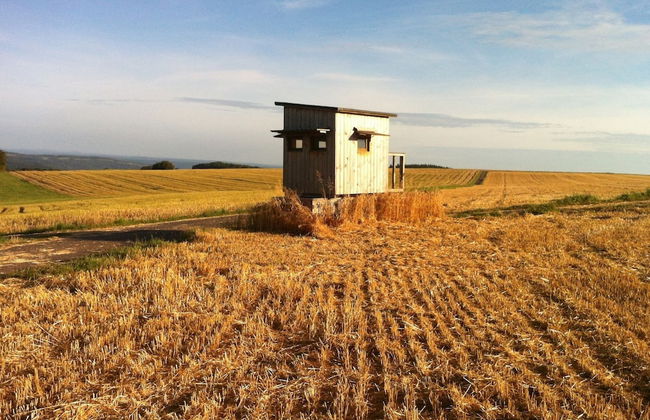 Holiday Home Moselle With Private Sauna - Photo 21