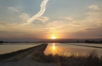 Casa Pastoret - Foto 43