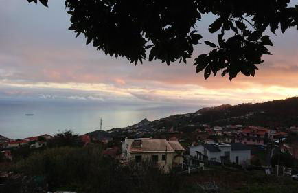 Madeira Island Rustic Mountain Home - Foto 31