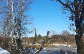 Ferienwohnung Brunnenstrasse - Foto 25