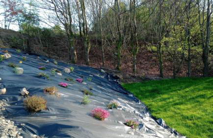 Chandler Ranch Llandovery Cynghordy - Foto 32