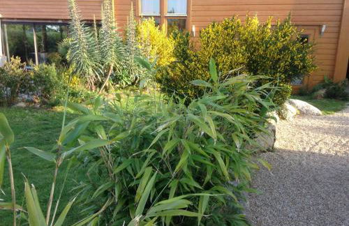 Les villas d'Onalou - Port Blanc - Foto 33