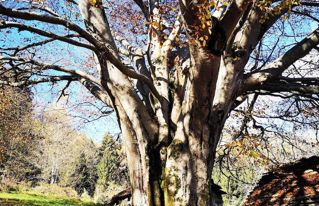 CasaZefira - Foto 33