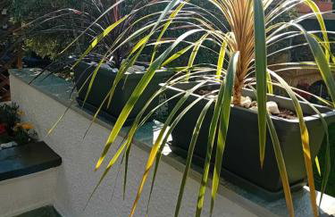 studio στην θαλασσα - Photo 17