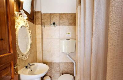 The Pine Trees - Foto 12