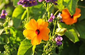 Ferienwohnungen TonArt - modern & stilvoll im Weinort Sommerach - Foto 25