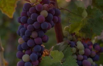 Residenza Cà d´Masseu - Foto 30