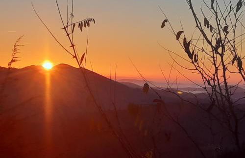 Gite l'Or des Cévennes - Foto 35