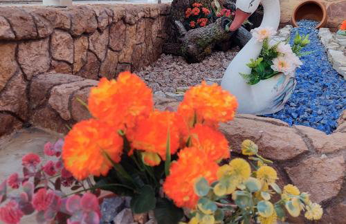 The Mastiha Spot 5 - Foto 33