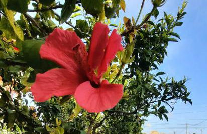 A pochi passi dal mare - Foto 11