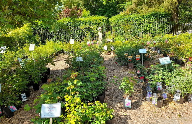 Flat in Olsberg Near Willingen Ski Area - Foto 23