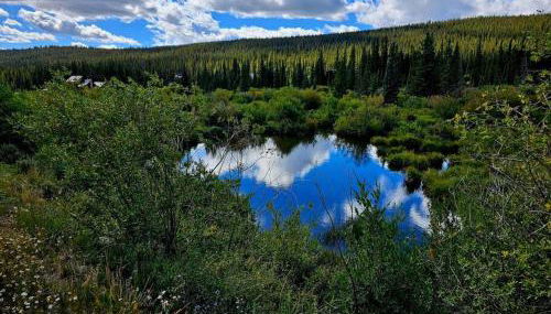 Moose Mtn Lodge/Luxury Cabin/Hot Tub/Fireplace - Foto 3