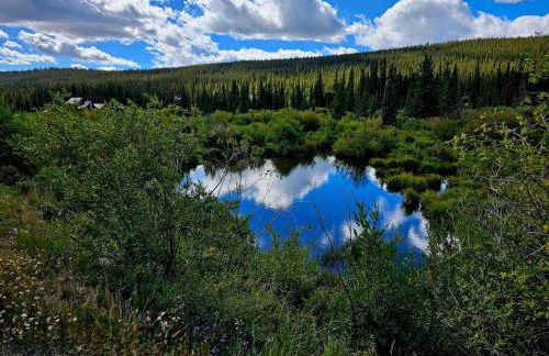 Moose Mtn Lodge/Luxury Cabin/Hot Tub/Fireplace - Foto 3