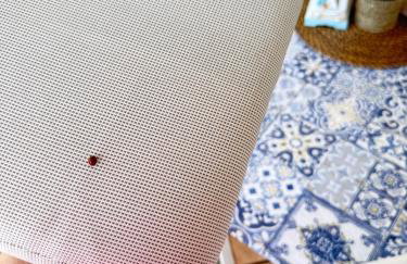 Villa Karigador, Umag- Karigador, Istria - Foto 51