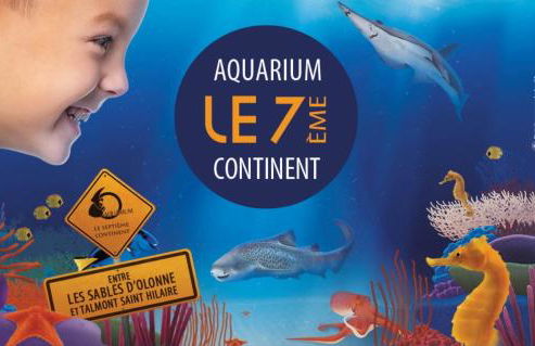 Appartement 2 pièces dans résidence bord de mer aux Sables d'Olonne - Foto 22