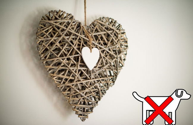 St. Tinney Farm - Photo 55