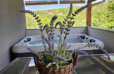 apartman Goga with pool and jacuzzi - Foto 14