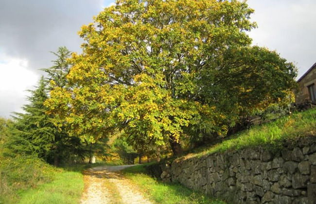 Le Roghete - Foto 22