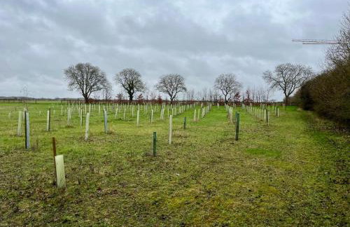 Magog View - Foto 22