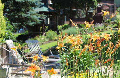 Appartement`s - HAUS KAROLA - Photo 25